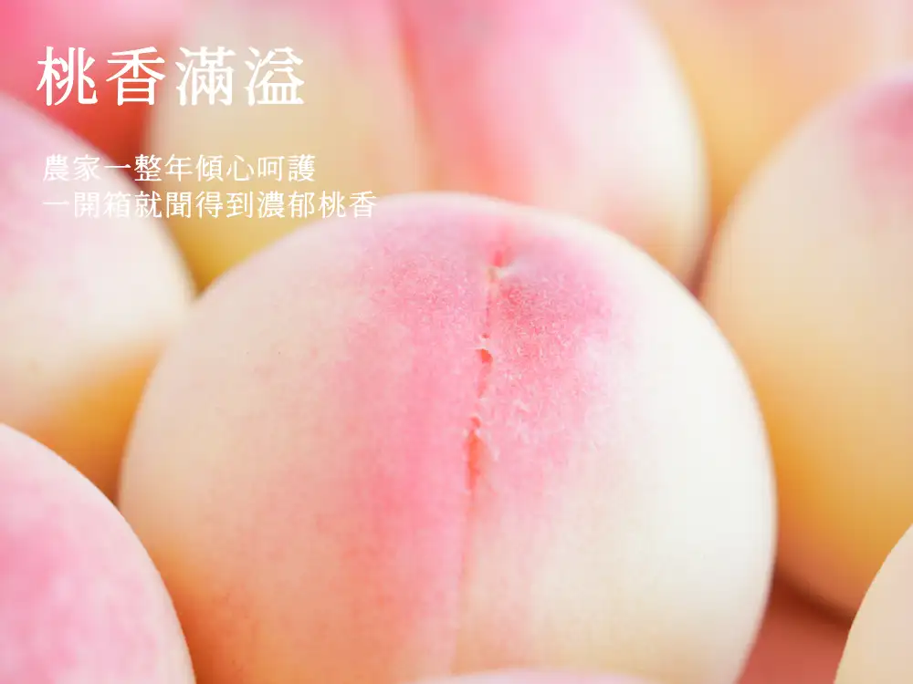 果实风味说明