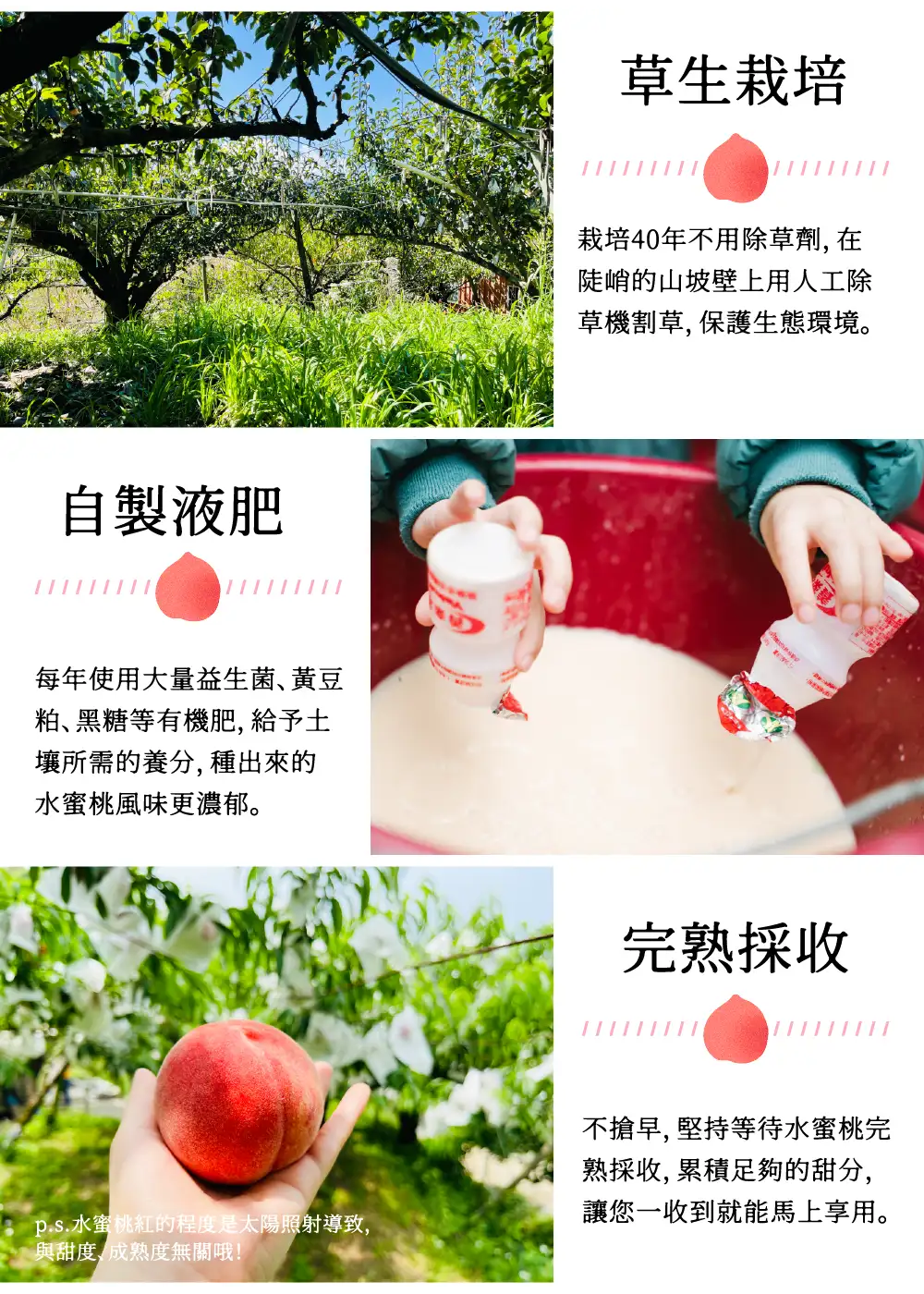 保存方式